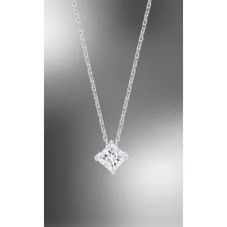 LOTUS SILVER COLLAR SRA.AG SILVER                                                                   